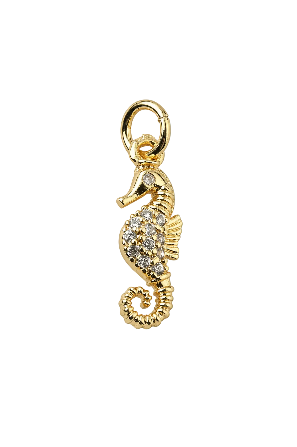 Seahorse
